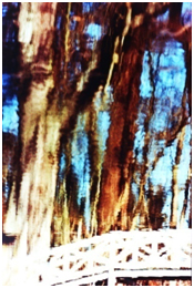 Shadows in the Wather